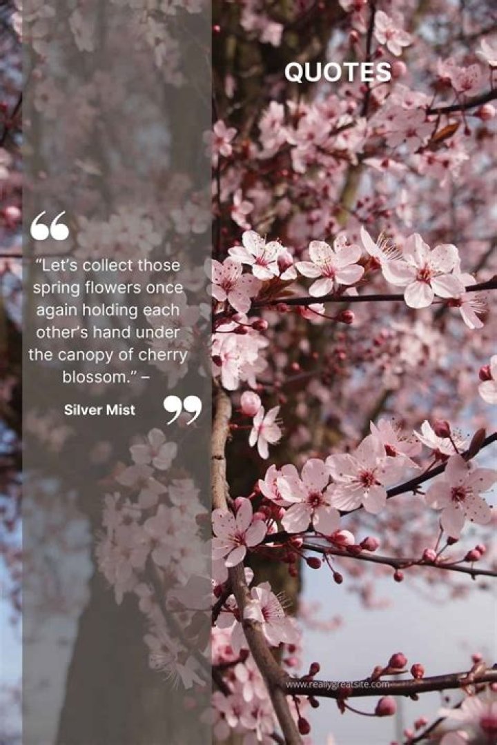 Cherry is thought to be due very soon