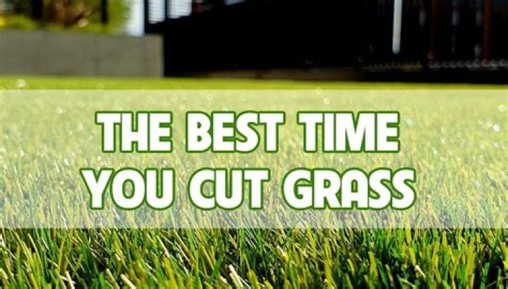 Choose the time you cut your lawn wisely, as some people may like a Sunday lie-in