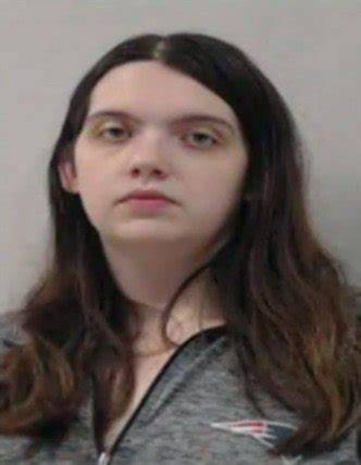 Ciera Gillespie, mother of the boys, faces two felony charges