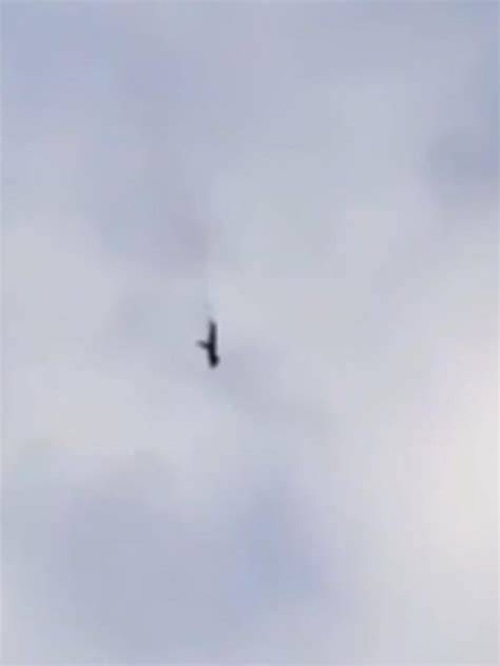 Clips showed the plane falling from the sky before turning into a fiery heap