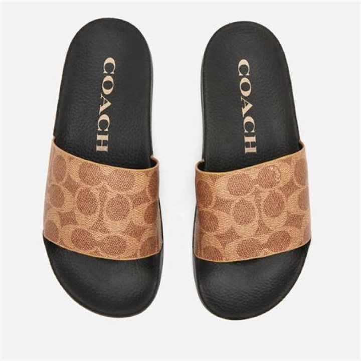 Coach slides