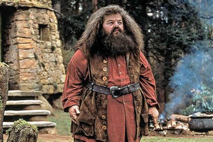 Coltrane as Hagrid in the Harry Potter film series
