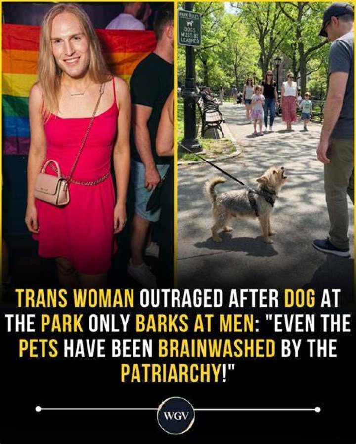 Commenters think the dog actually looks quite cute and the purchase was a success story