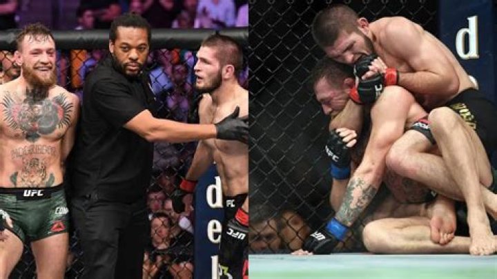 Conor McGregor and Khabib Nurmagomedov fought at UFC 229.
