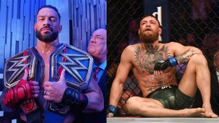 Conor McGregor was deemed to have won the third round of their UFC 229 bout
