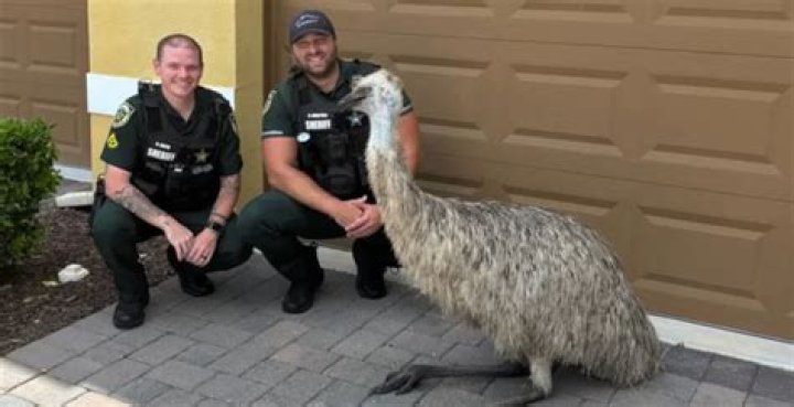 Cops managed to rescue the snake from the roadside