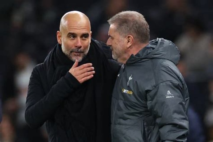 Crouch says Pep Guardiola's men would have been left frustrated by Stoke's physicality
