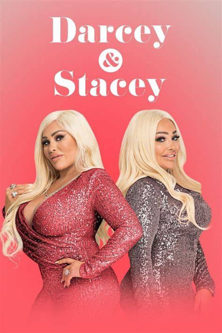 Darcey and Stacey Silva joined the TLC family in 2017