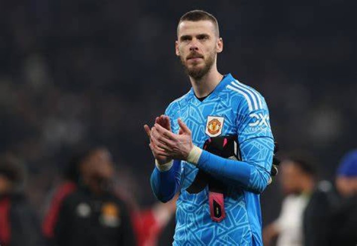 David de Gea may not be United's No1 next season