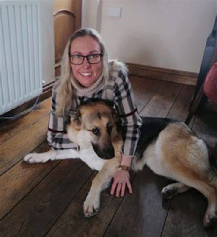 Davinia Anderson mistakenly text her dog groomer asking for a bikini wax