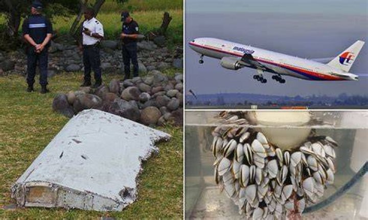 Debris from the missing flight MH370