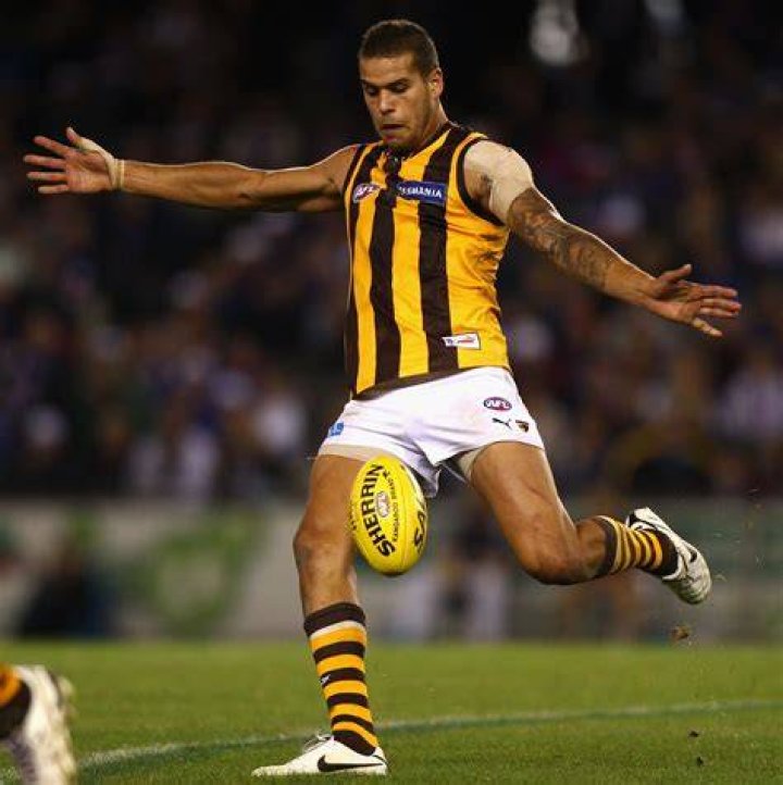 Debuting in 2005, he played for Sydney and Hawthorn in a career spanning 19 seasons