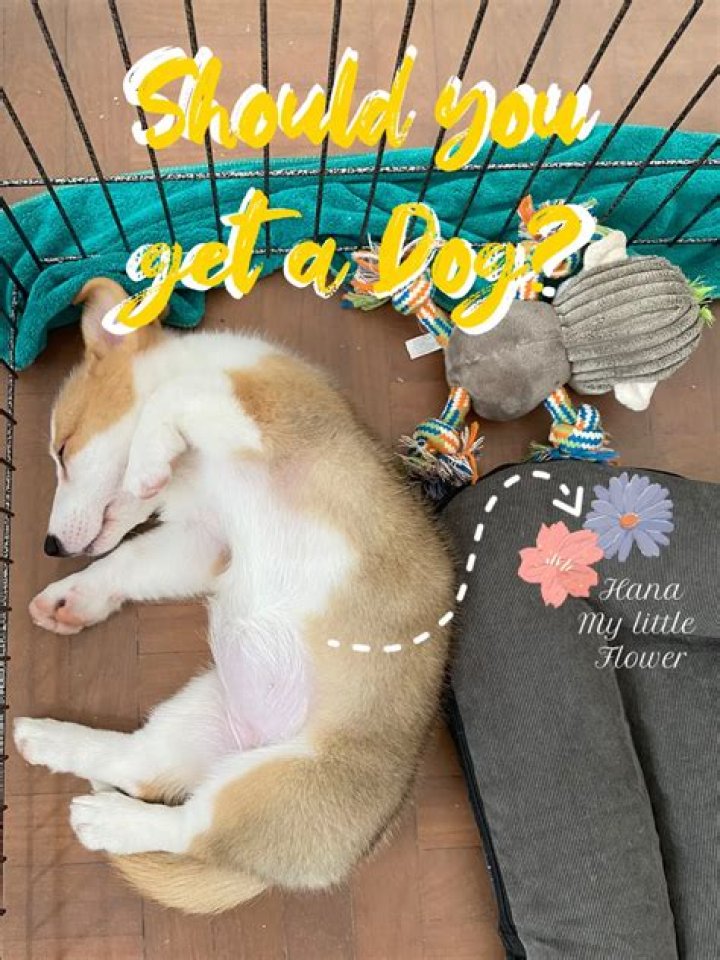 Dog also posted about the pics on Instagram