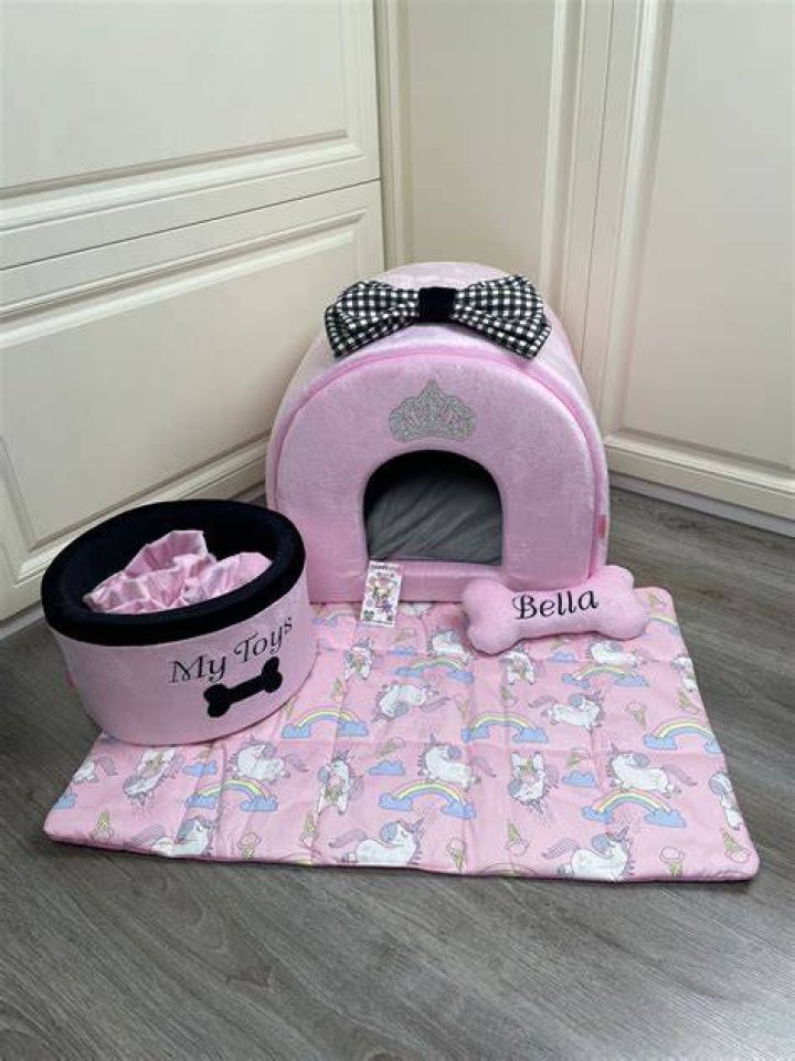 Dog is selling $60 pink handcuffs for fans to"enjoy in quarantine"