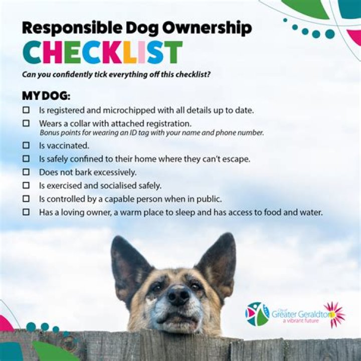 Dogs are urged to be straightforward with others in terms of relationships