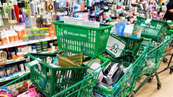 Dollar Tree is a discounted variety store