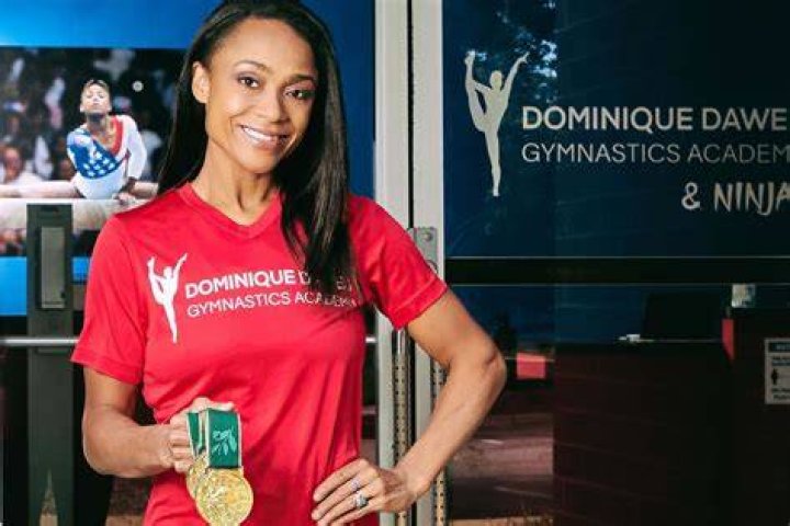 Dominique Lanoise Net Worth, Income, Salary, Earnings, Biography, How much money make?