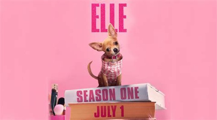 Elle is one of the most recognisable faces in influencer boxing