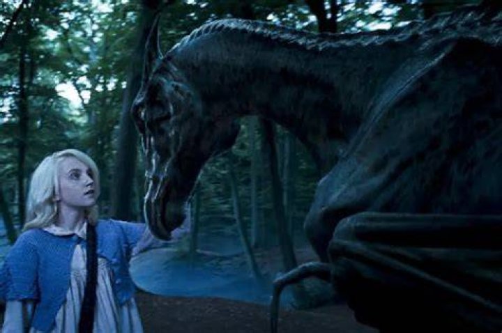 Evanna has since starred in Silent Witness