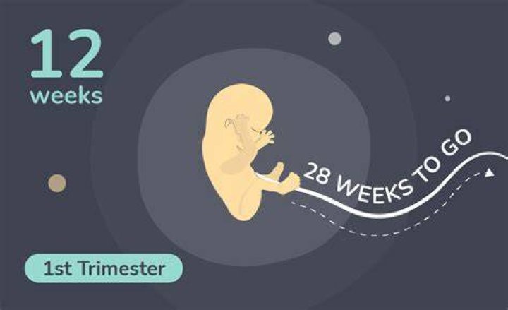 Even as 12 weeks, when many women aren't showing at all, Elisha's belly popped through her clothes