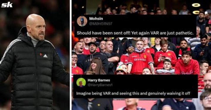 Fans were outraged at the news David killed their family dog, Nugget in 2019