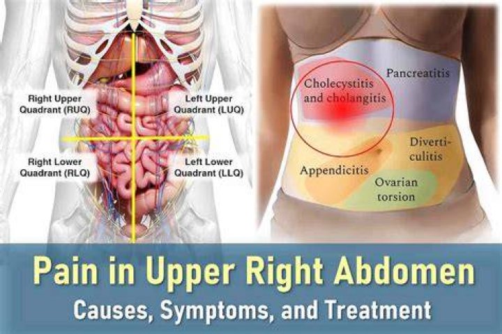 Feeling pain in the sides of your back could indicate problems with your organs