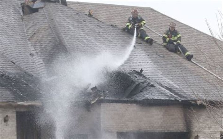Firefighters were dispatched to spray foam on the swarming hive and calm the bees