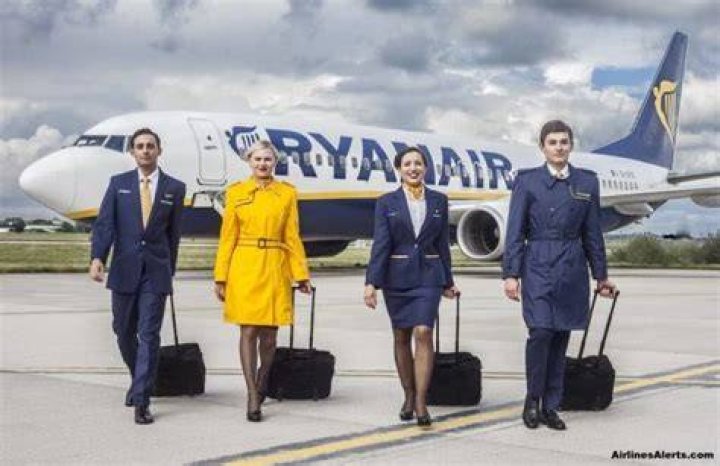 Flight attendant Rania, from Austria, took to TikTok to spill the beans