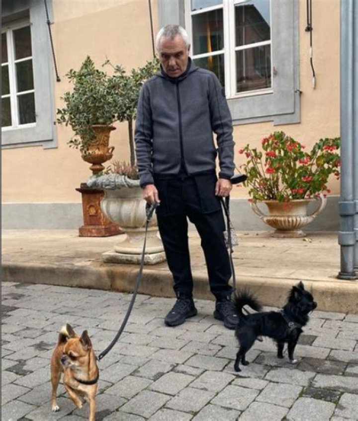 Giorgio is a Chihuahua, while Ralph is&nbsp;- what many viewers guess to be - a 200-pound St Bernard or English Mastiff