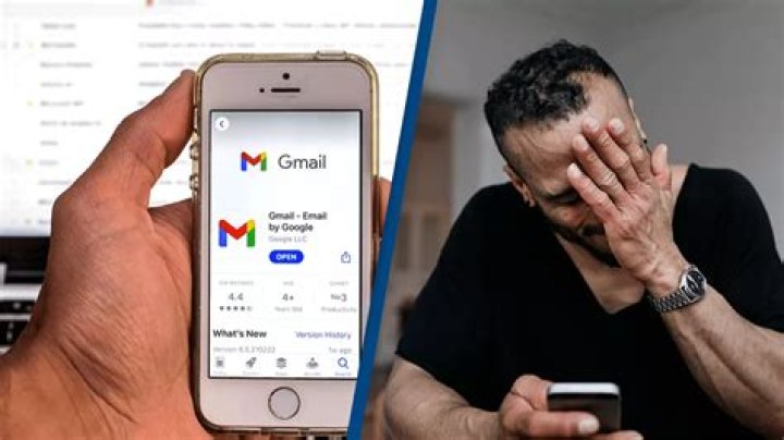 Google users have been urged to update their Chrome web browser