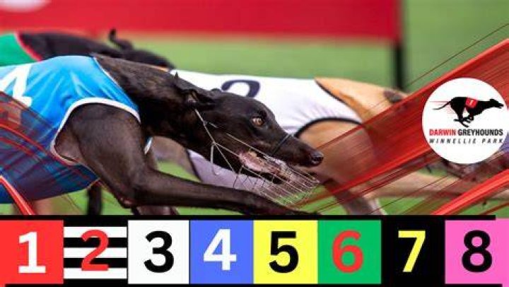 Greyhound racing was allowed here