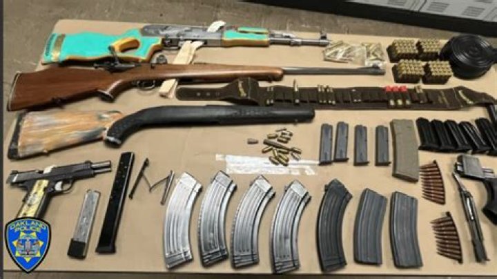  Guns were seized from the property