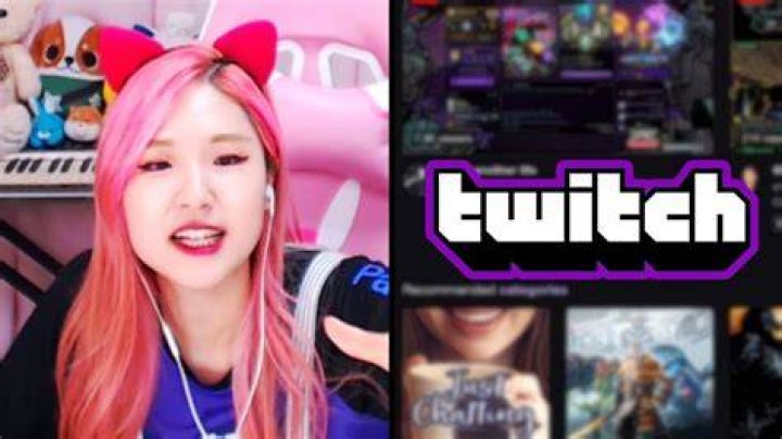 Hachubby (Twitch Star) Wiki, Biography, Age, Height, Weight, Boyfriend, Net Worth