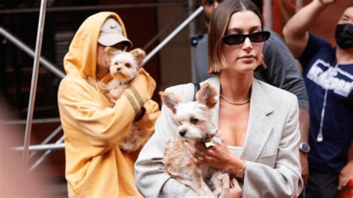 Hailey and her dogs in a TikTok video