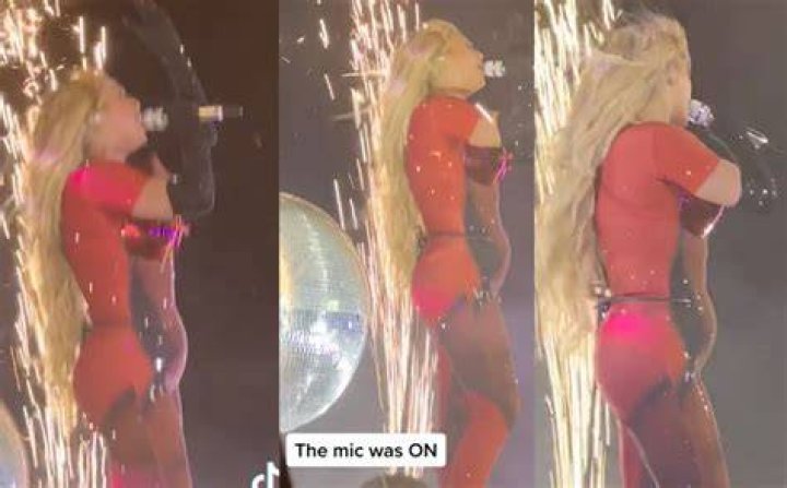 Halloween Baby Bump - Beyonce