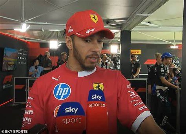 Hamilton said he felt lucky to be alive after the terrifying smash
