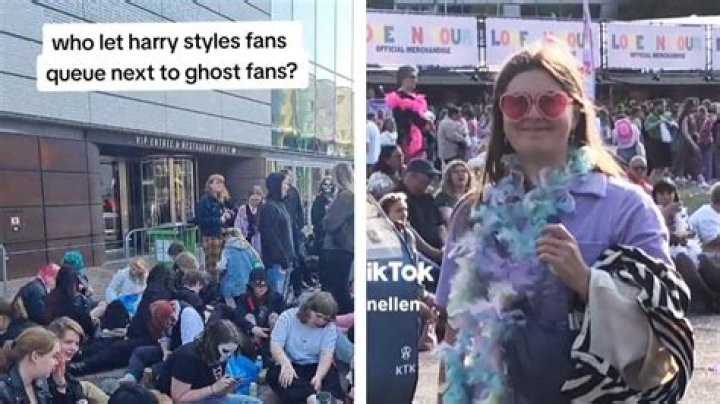Harry Styles distracted fans with his new video