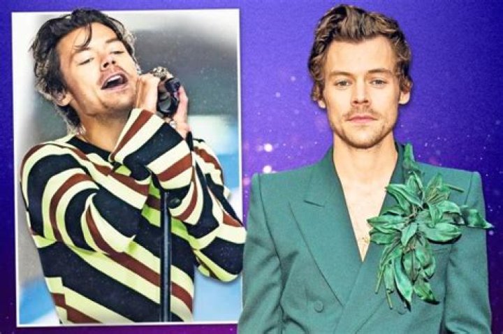 Harry Styles is undoubtedly handsome, full of charisma and has a cool confidence that sets him apart