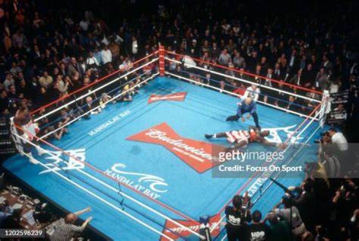 Hasim Rahman Sr famously knocked out Lennox Lewis