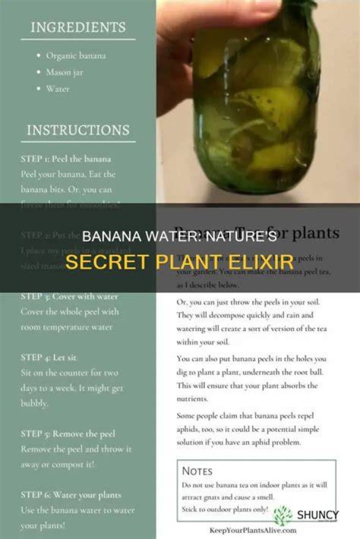 He described banana water as 'magic'