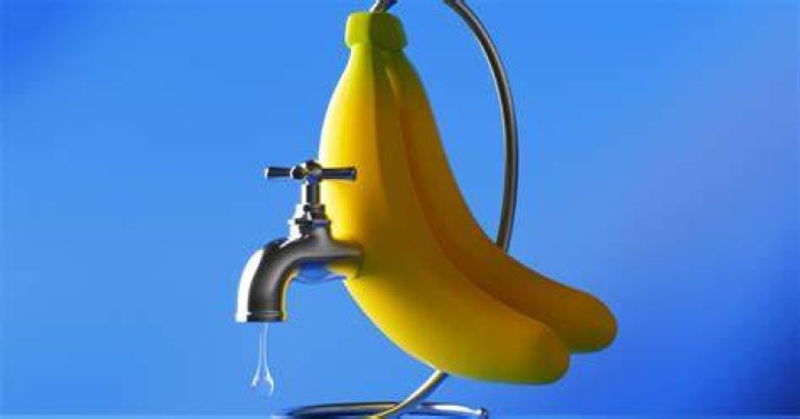 He said banana water was packed full of nutrients that are great for plant growth