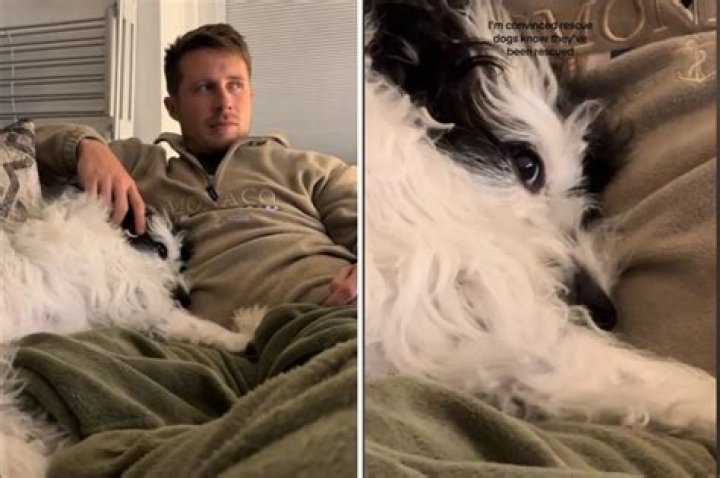 He was photographed cozying up with a mystery brunette