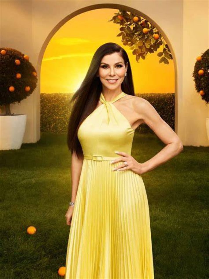 Heather Dubrow Every Real Housewife Defending Andy Cohen