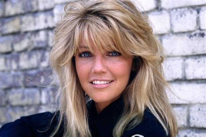 Heather Locklear was America&rsquo;s most lusted-after actress in the 80s and 90s