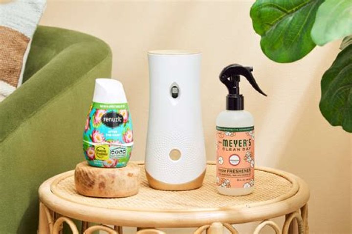 Her air fresheners could be placed anywhere that odors might linger