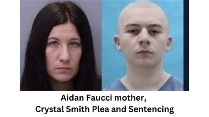 His mother, Crystal Smith, also appeared via Zoom at the hearing as they discussed the case