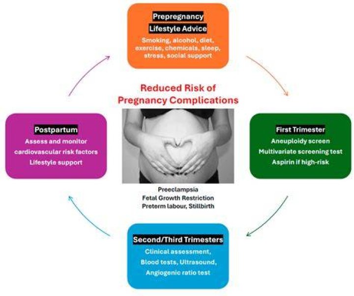 How Eves Pregnancy Will Impact Season 1 of Queens
