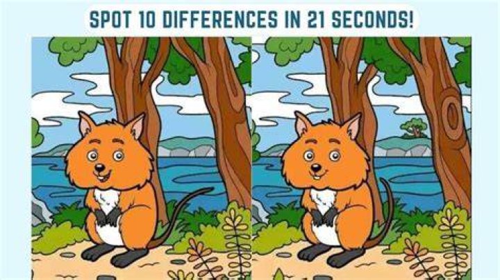 If you can spot the snowman hidden in the image in less than 20 seconds you are a seek-and-find master
