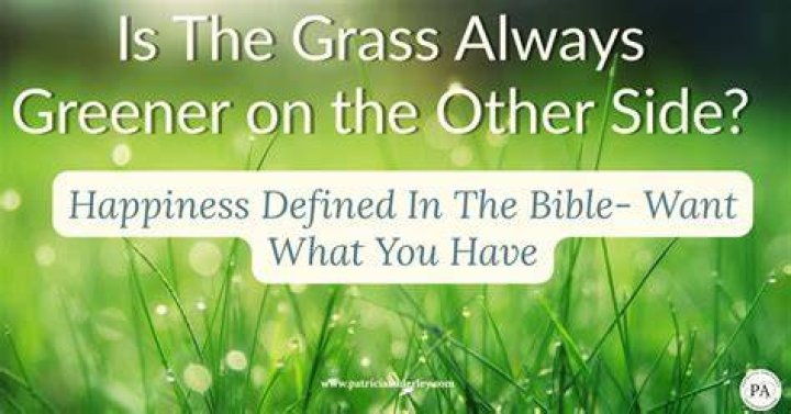 If you want a greener, thicker lawn, dish soap may be the answer