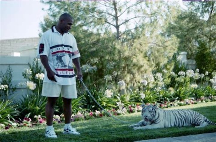 In 1995 Tyson bought two Ferraris with the purse he earned from beating Frank Bruno, including this F50